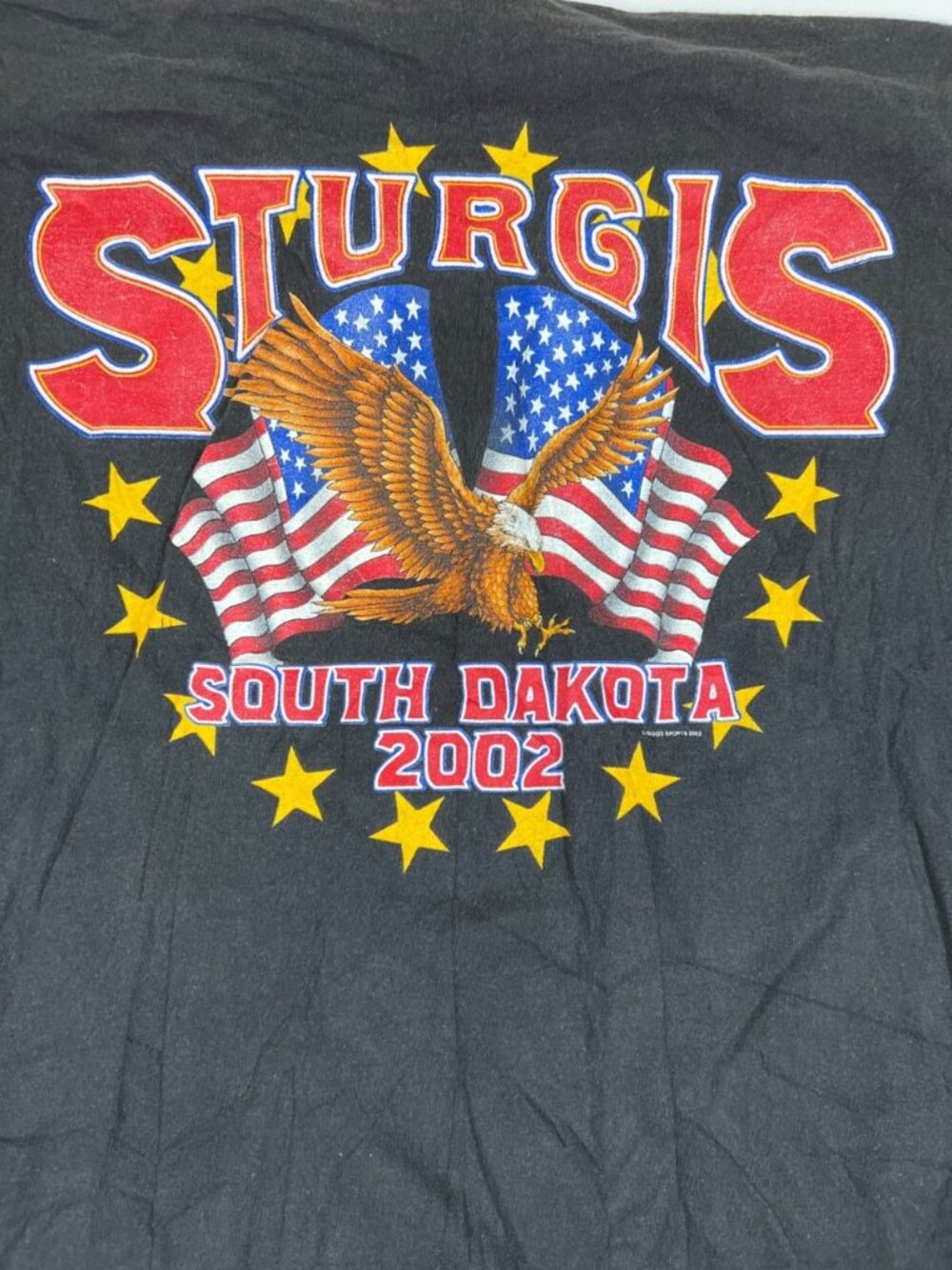 Vintage Delta Pro Weight Men XL Sturgis 2002 South Dakota Biker Graphic T-Shirt - Picture 6 of 8